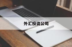 外汇投资公司(外汇投资公司业务主要内容)