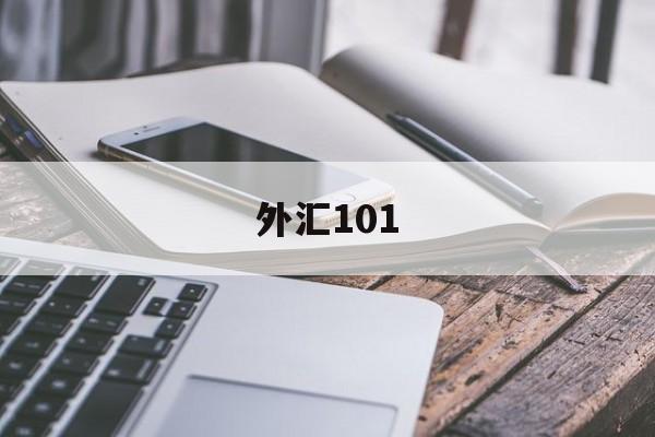 外汇101(外汇1013资金)