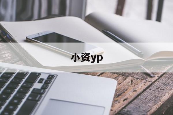 小资yp(小资产阶级是什么意思)